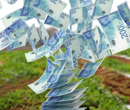 קרקע חקלאית להשקעה קרקע חקלאית להשקעה